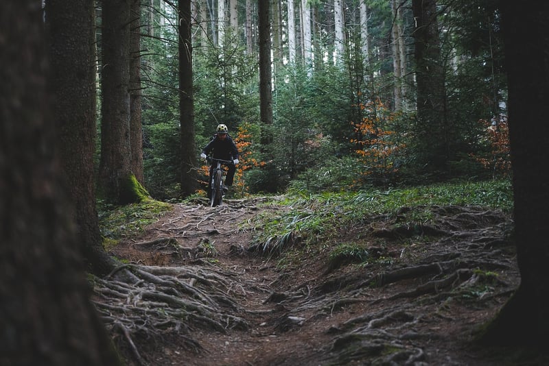 Cycling in Banff National Park
